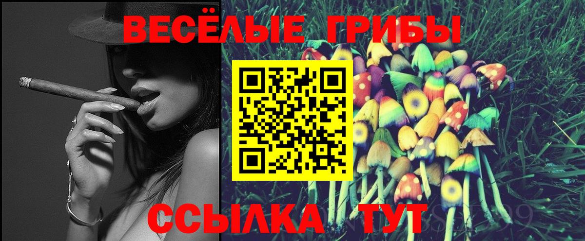 даркнет сайт  Вход с VPN  Ачинск  Галлюциногенные грибы мухоморы 